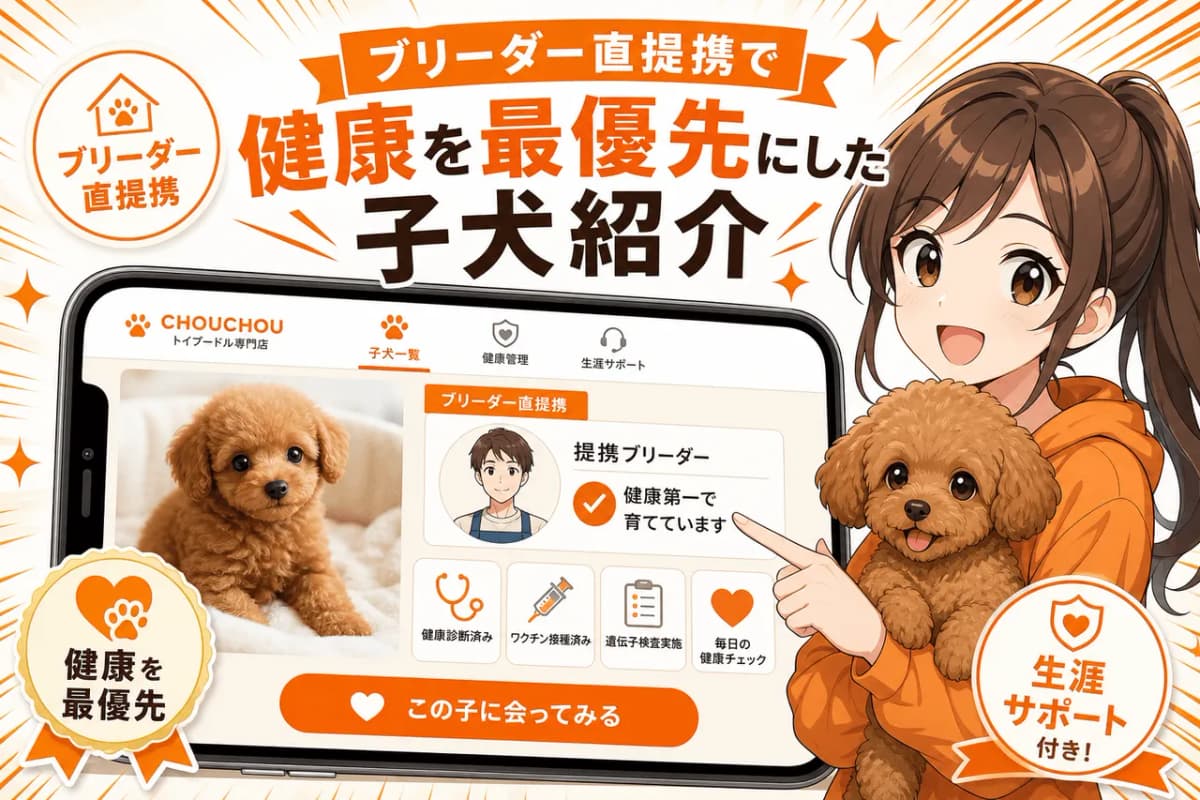 ブリーダー直提携で健康を最優先にした子犬紹介