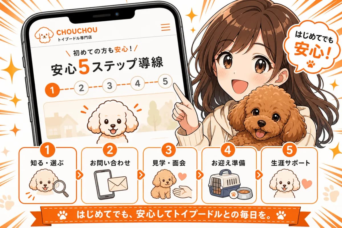 初めての方向けの安心5ステップ導線